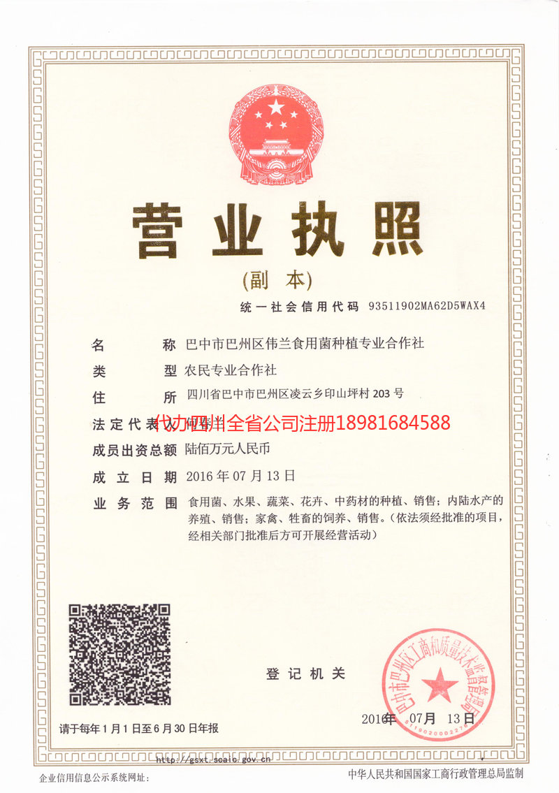 龙海龙海伟兰食用菌种植专业合作社